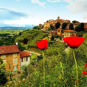 Alto Affittacamere Castelvecchio (Pisa)