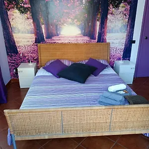 Claudia A Monteverde Bed & Breakfast Roma